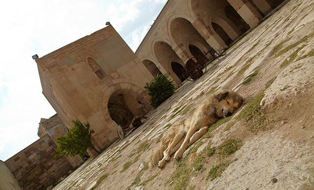 30.08.2011, Sultanhanı, Aksaray