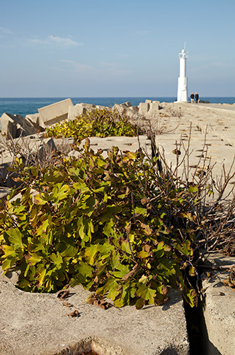 08.11.2011, Akçakoca
