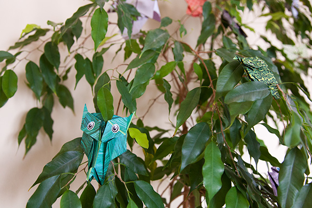Evdeki origami baykuşlar, Ocak 2013 | Fotoğraf: Özlem Mengilibörü
