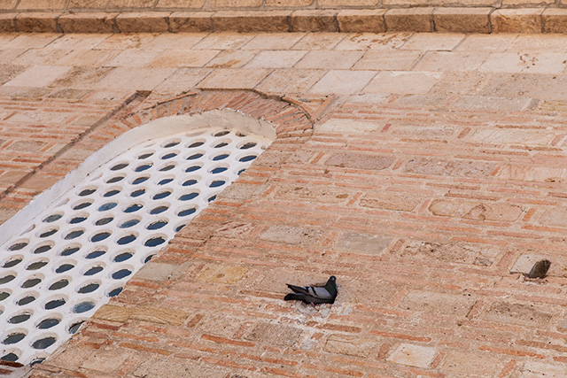 Beypazarı | Fotoğraf: Özlem Mengilibörü