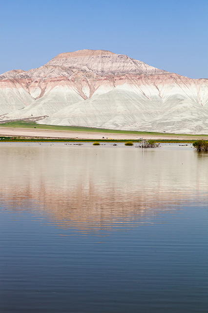 Nallıhan Kuş Cenneti, 28.04.2013 | Fotoğraf: Özlem Mengilibörü