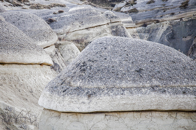 Fotoğraf: Özlem Mengilibörü