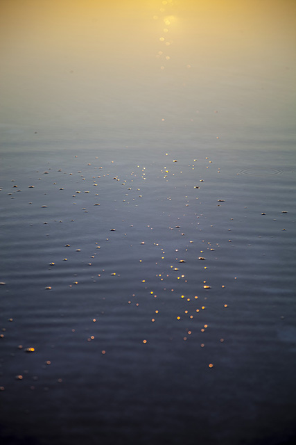 Fotoğraf: Özlem Mengilibörü