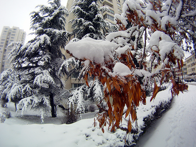 Ankara, 27.01.2012, GoPro HD Hero | Fotoğraf: Özlem Mengilibörü