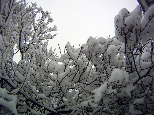 Ankara, 27.01.2012, GoPro HD Hero | Fotoğraf: Özlem Mengilibörü