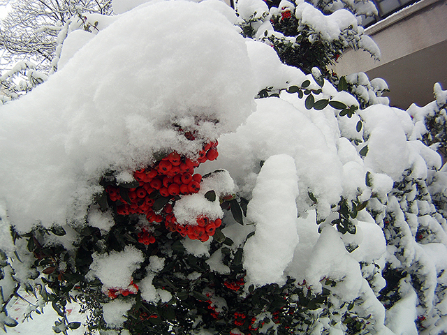 Ankara, 27.01.2012, GoPro HD Hero | Fotoğraf: Özlem Mengilibörü