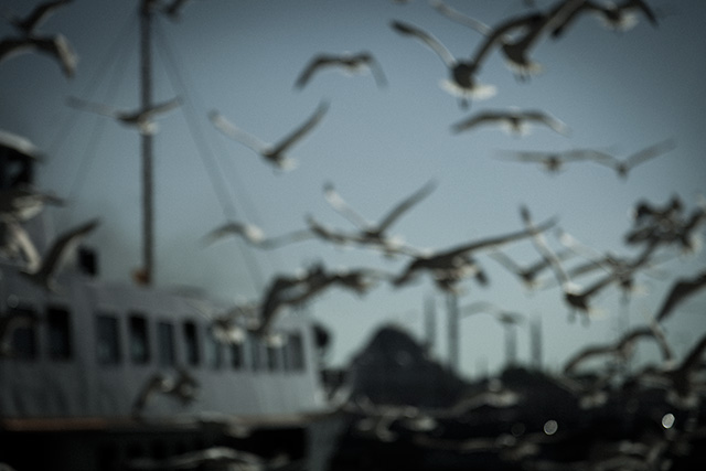 Fotoğraf: Can Mengilibörü