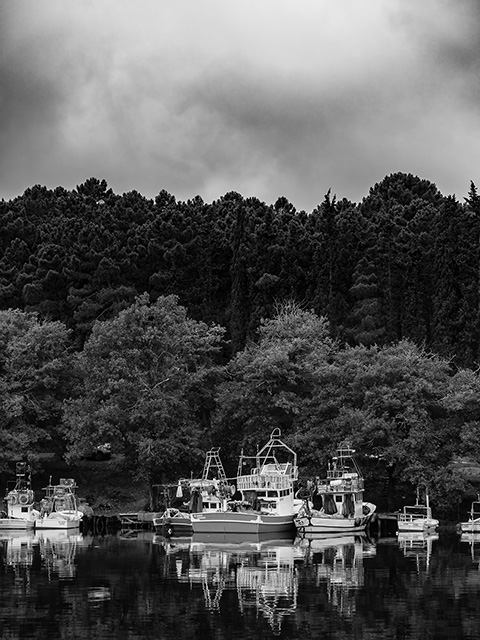 Akliman, Hamsilos, Sinop | Canon 5D Mark IV 24-105mm | Fotoğraf: Can Mengilibörü