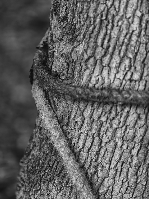 Akliman, Hamsilos, Sinop | Canon 5D Mark IV 24-105mm | Fotoğraf: Can Mengilibörü