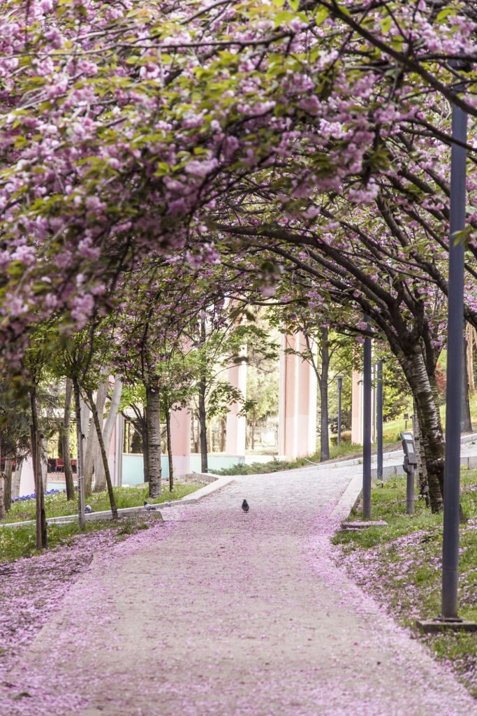 Fotoğraf: Özlem Mengilibörü