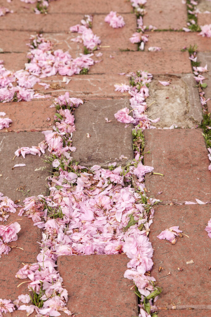 Fotoğraf: Özlem Mengilibörü