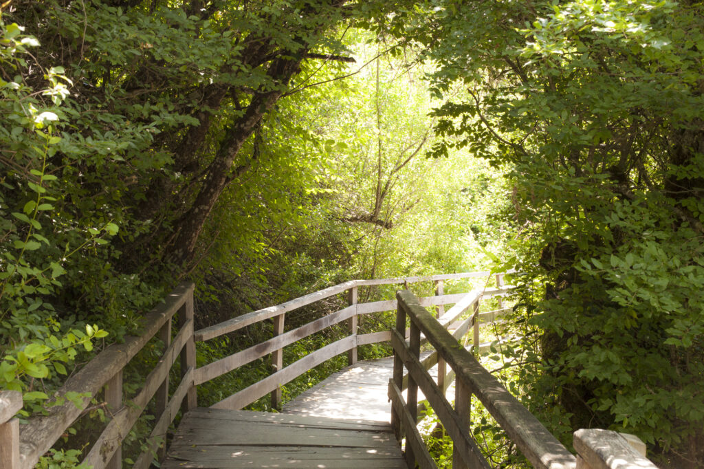Fotoğraf: Özlem Mengilibörü, Kastamonu