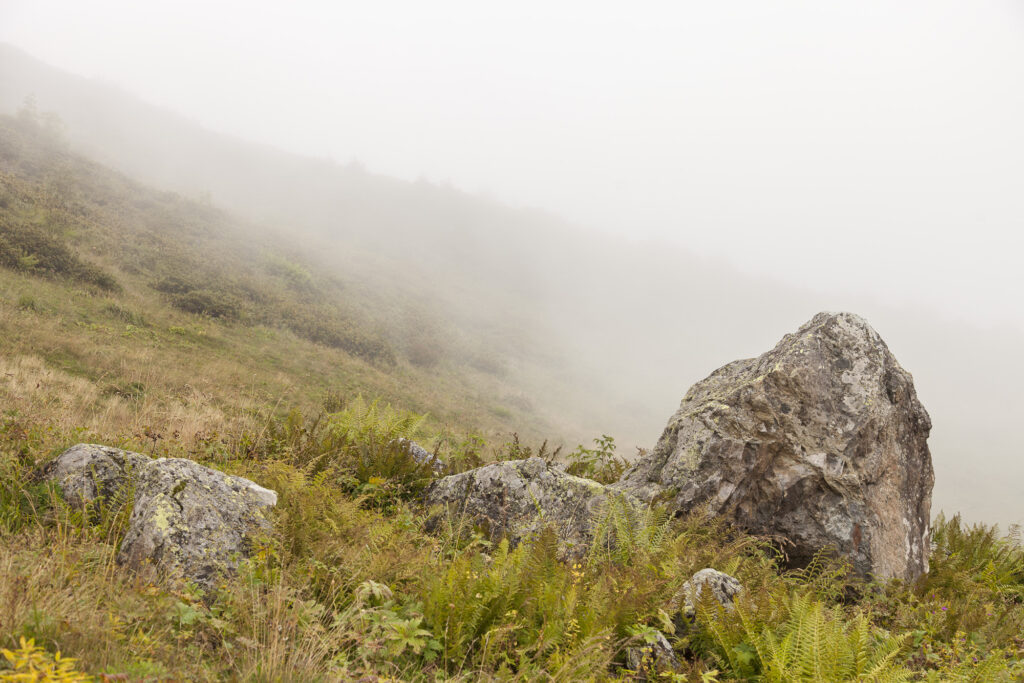 Fotoğraf: Özlem Mengilibörü, Gito Yaylası