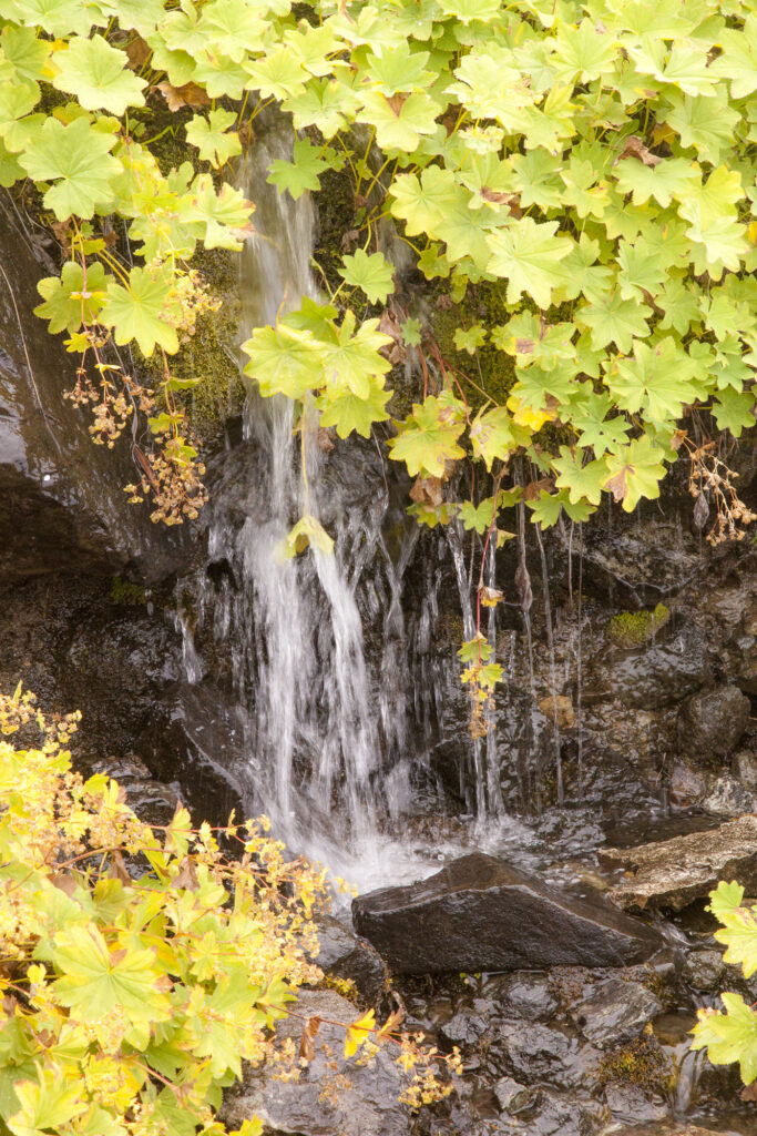 Fotoğraf: Özlem Mengilibörü, Gito Yaylası