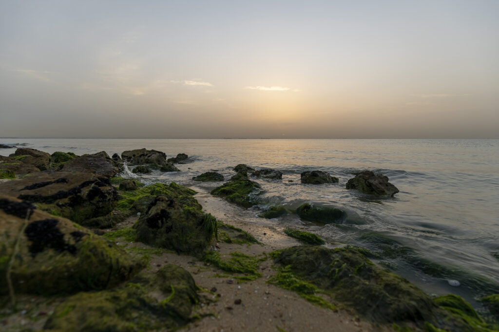 Fotoğraf: Can Mengilibörü, Mısır
