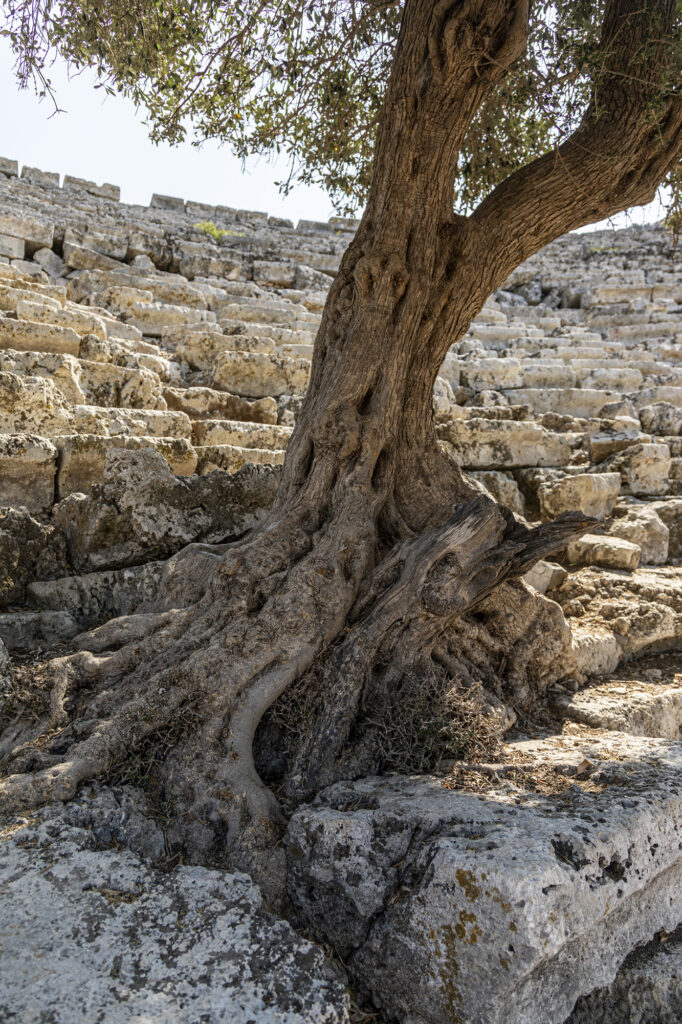 Fotoğraf: Özlem Mengilibörü, Kaunos
