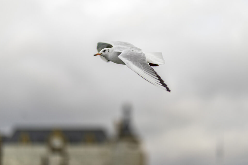 Fotoğraf: Can Mengilibörü, Fotoğraflar 4
