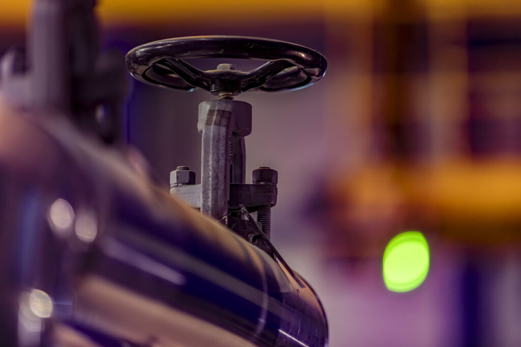 Fotoğraf: Can Mengilibörü